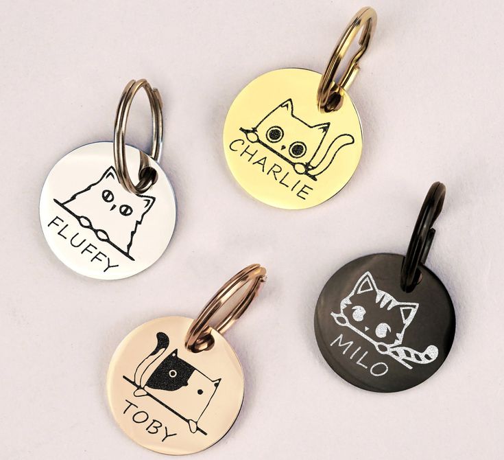 collares para mascotas